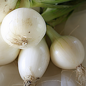 White onions need to be used soon after harvest