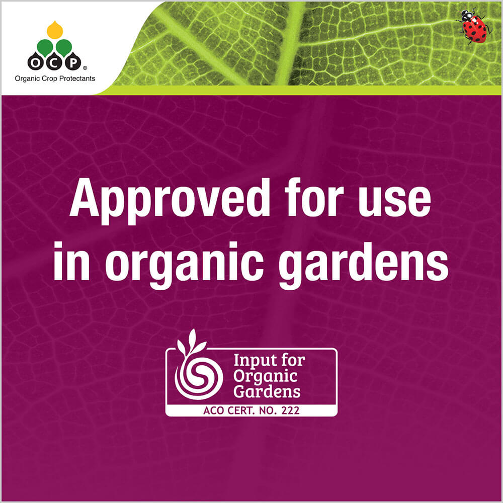 OCP eco-caterpillar killer tile 5