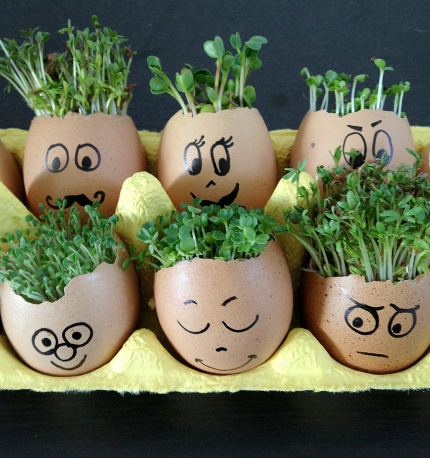 Happy little eggheads
