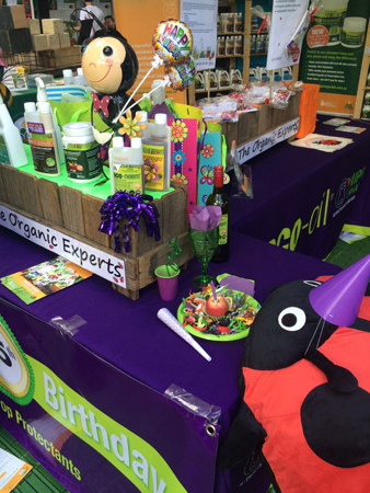 OCP 25th birthday celebrations with the ladybeetles!