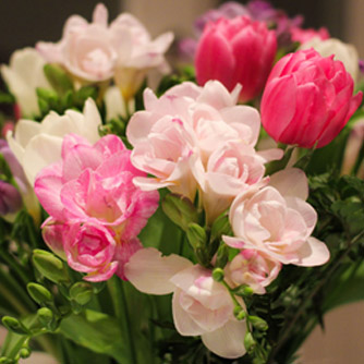 An arrangement of pink freesias and tulips