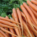 Carrots