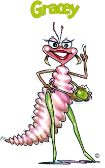 Gracey (Green Lacewing)