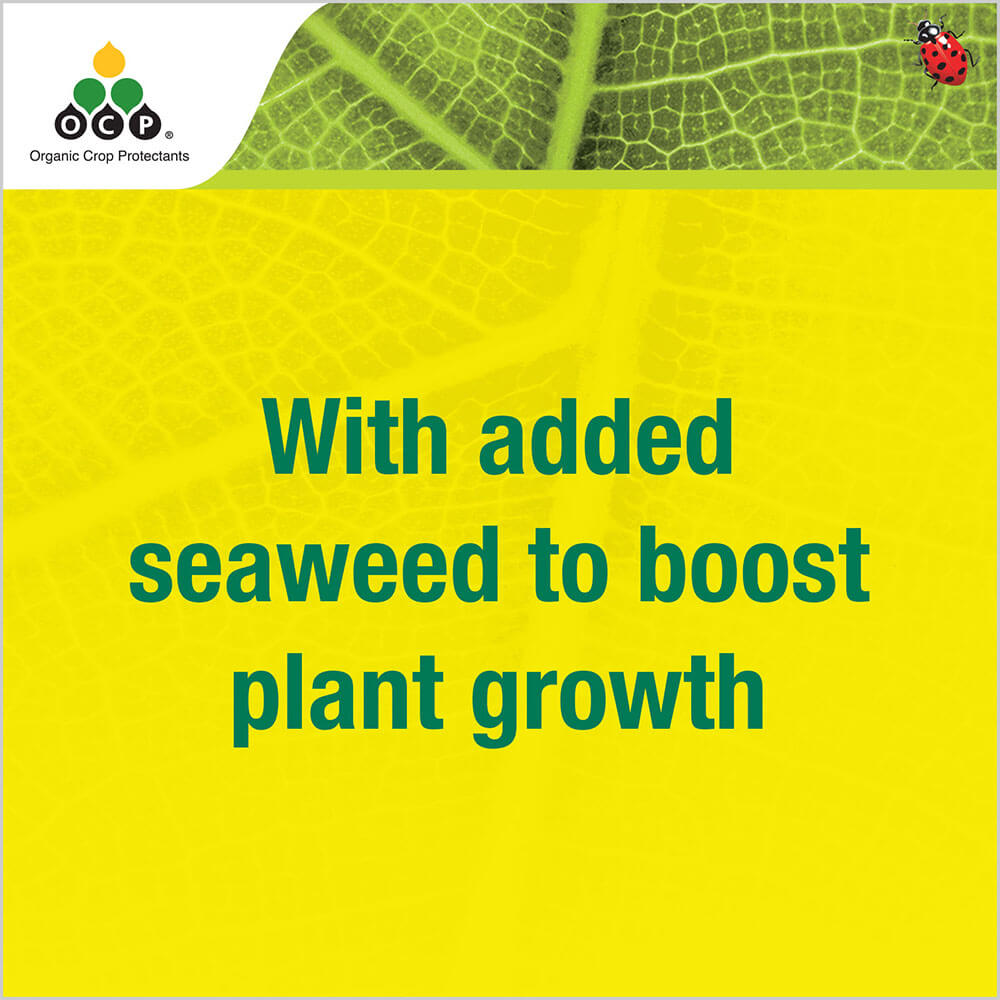 OCP eco-pyrethrum PLUS tile 3