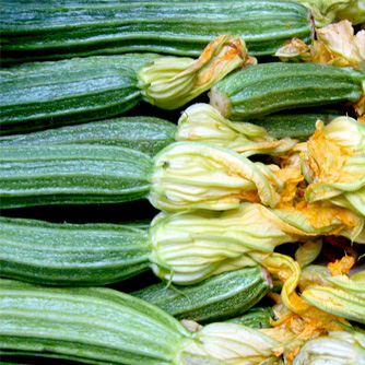 The Costata zucchini is also striped but with raised ridges
