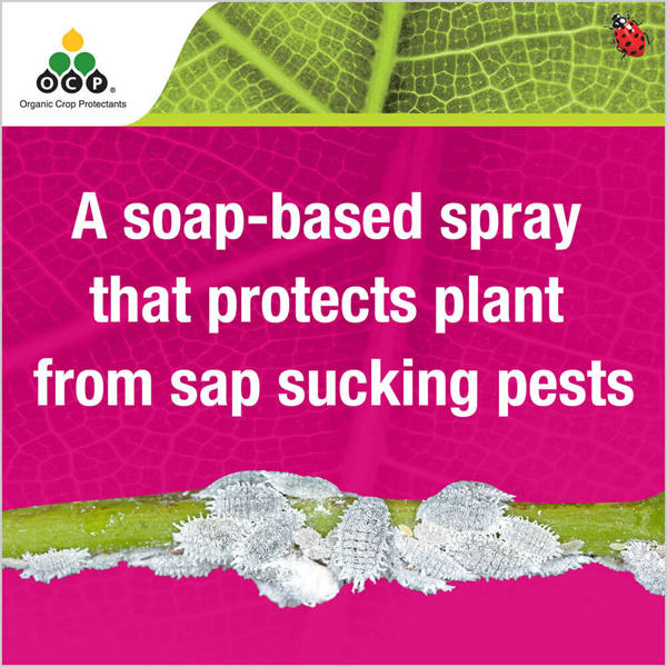 OCP eco-insect killer tile 1