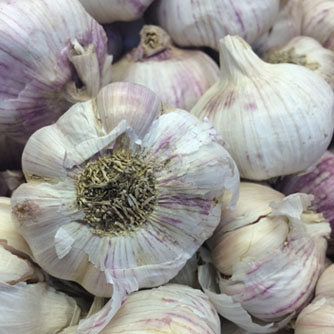 Australian grown garlic bulbs