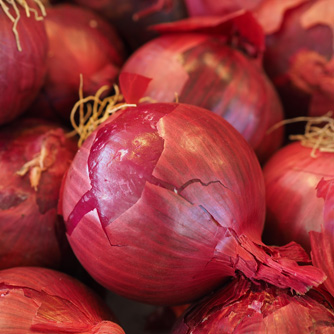 Red or spanish onions with their milder flavour
