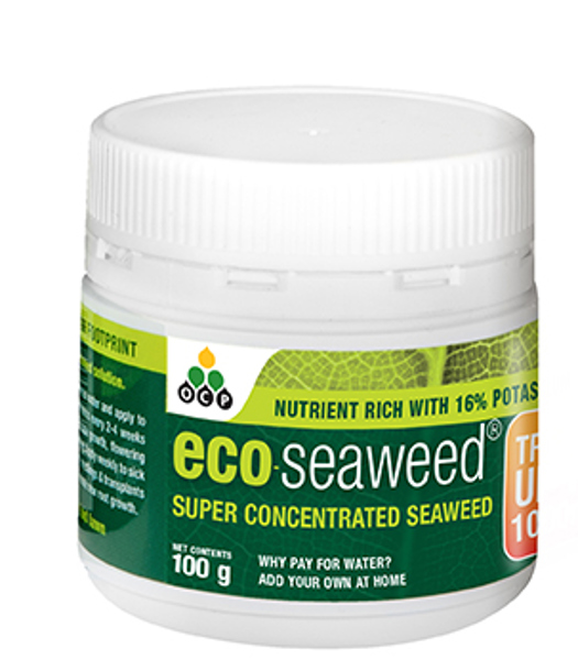eco-seaweed 100g