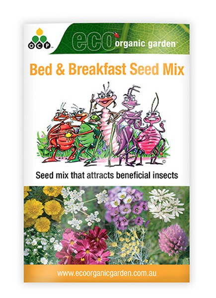 Bed & Breakfast Seed Mix