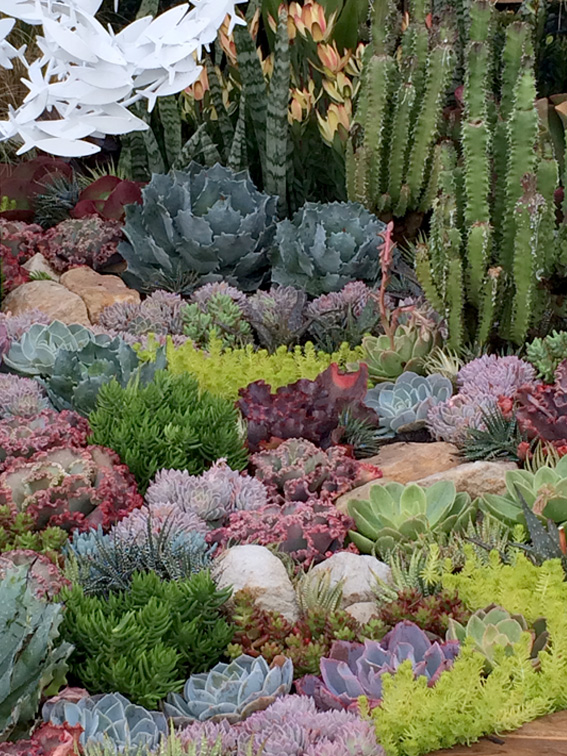 The Australian Garden Show, Sydney 2014 - Eco Organic Garden