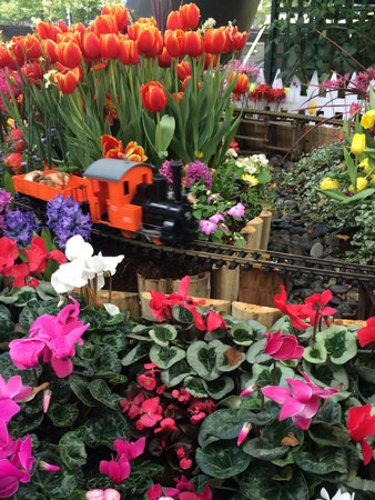 Drewitts Bulbs display complete with steam train