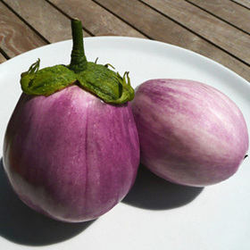 'Rosa Bianca' eggplant variety with rounder fruit and paler skins