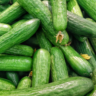Short and sweet Lebanese cucumbers