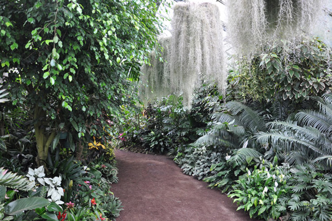 Victorian Flower Garden – tropical display