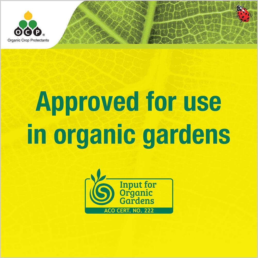 OCP eco-pyrethrum PLUS tile  5