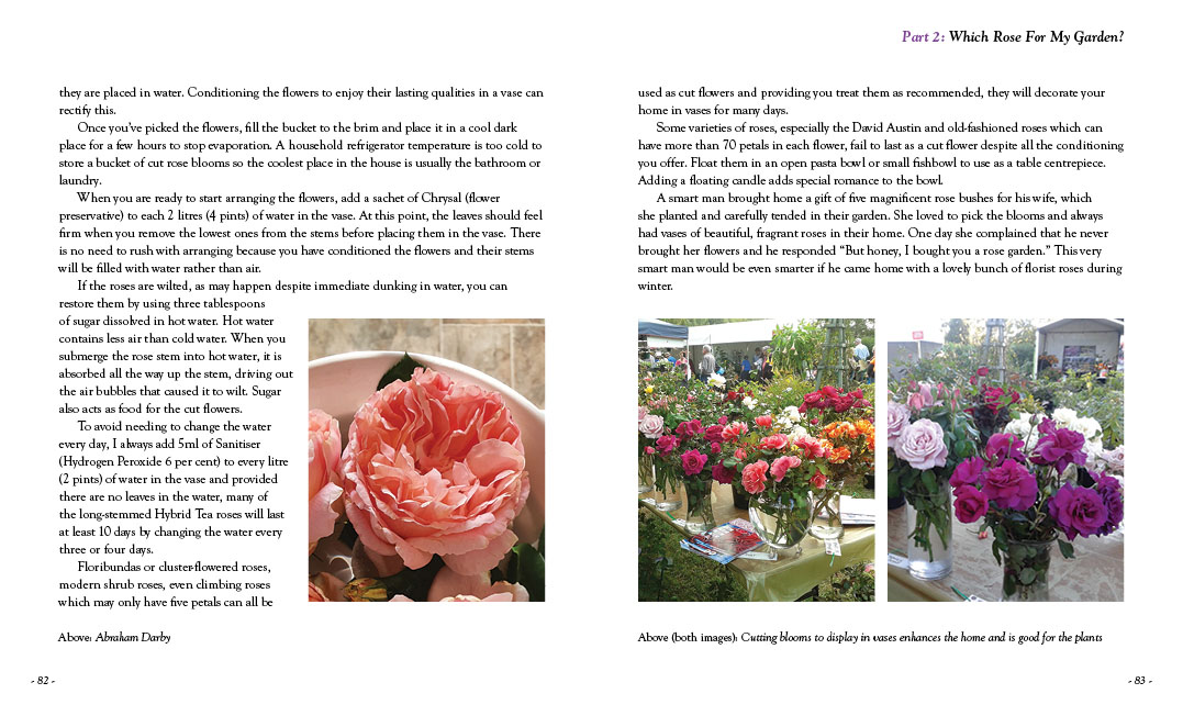 All About Roses by Diana Sargeant