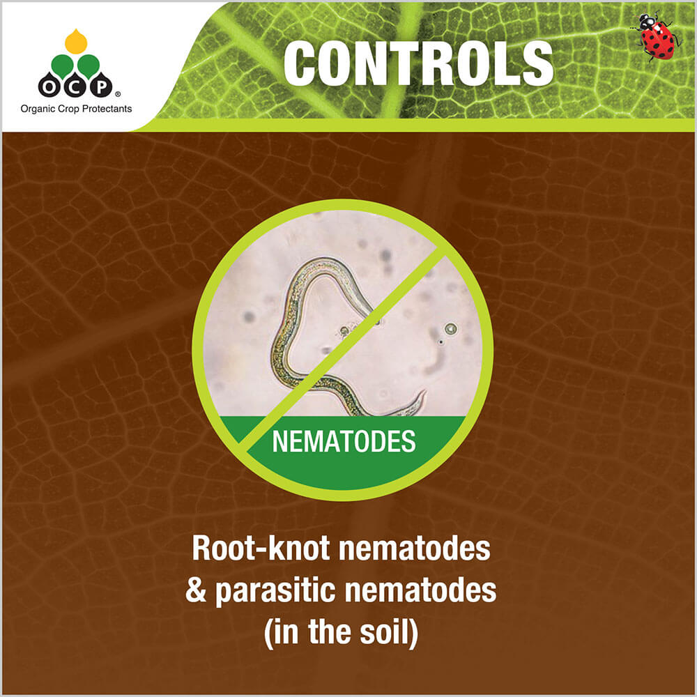 OCP eco-nemguard tile 2