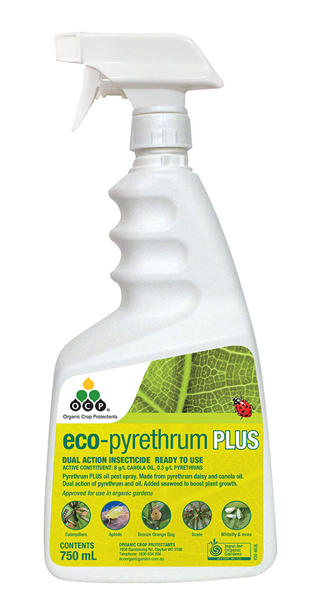 OCP eco-pyrethrum PLUS