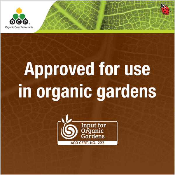 OCP eco-nemguard tile 4