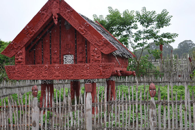 The Te Parapara Garden is a traditional Maori veggie garden – this one has sweet potatoes growing