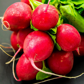 Radishes ready to eat!