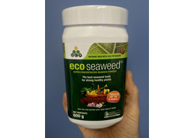 eco-seaweed just got bigger!