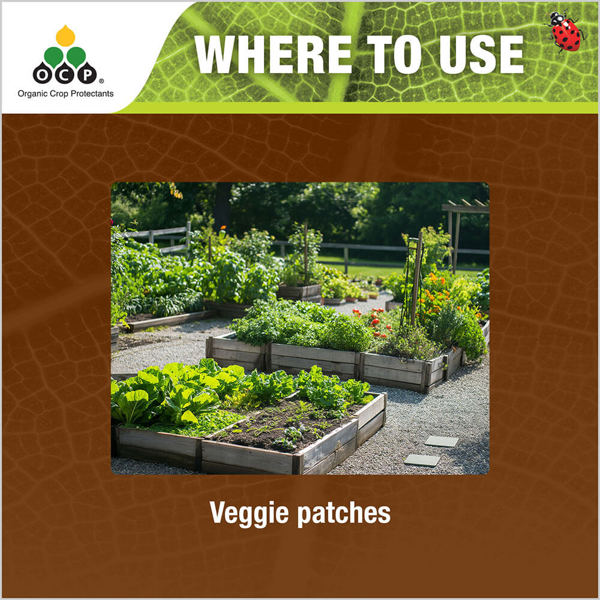 OCP eco-nemguard tile 3