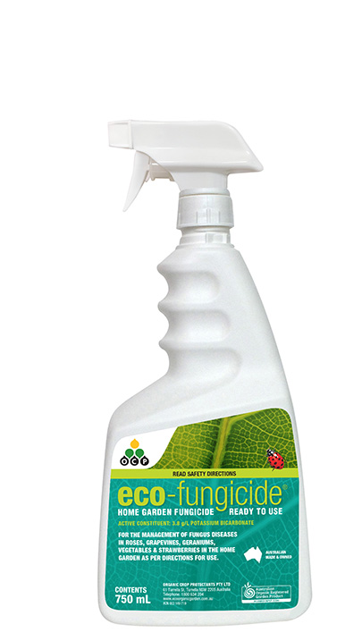 eco-fungicide 750ml RTU