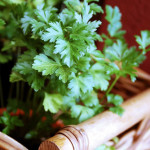 Parsley