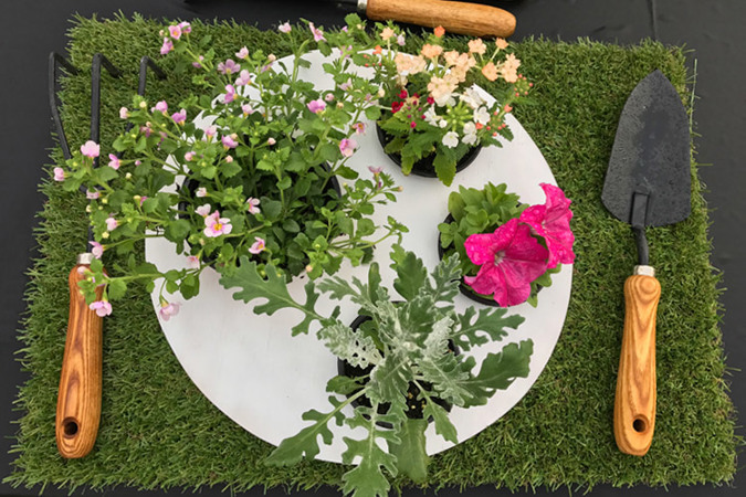 A gardener’s “meal” by Green Cloud Nursery