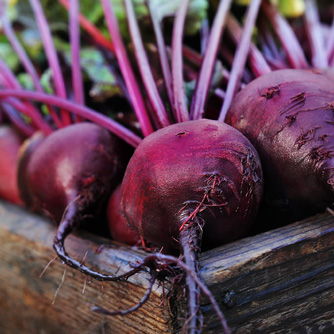 Beetroot all washed and looking lovely!