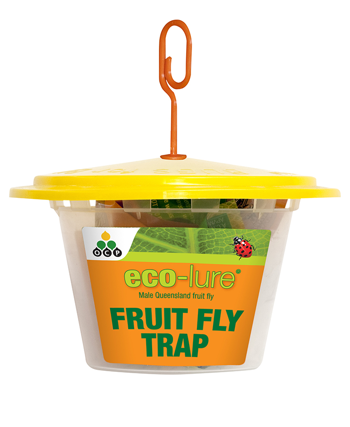 eco-lure male Queensland fruit fly trap - Eco Organic Garden