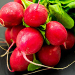 Radishes