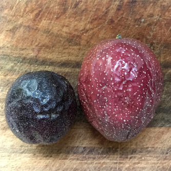 'Panama Red' produces much larger fruit