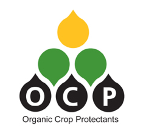 OCP
