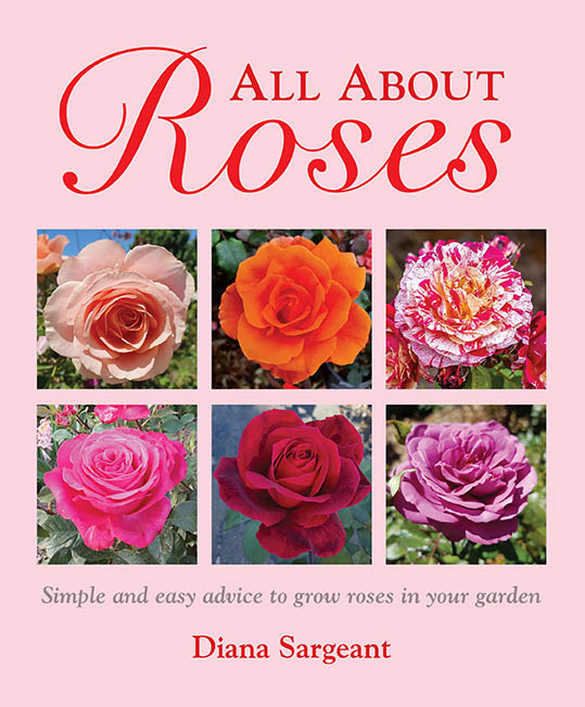 All About Roses