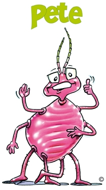 Pete (Predatory Mite)