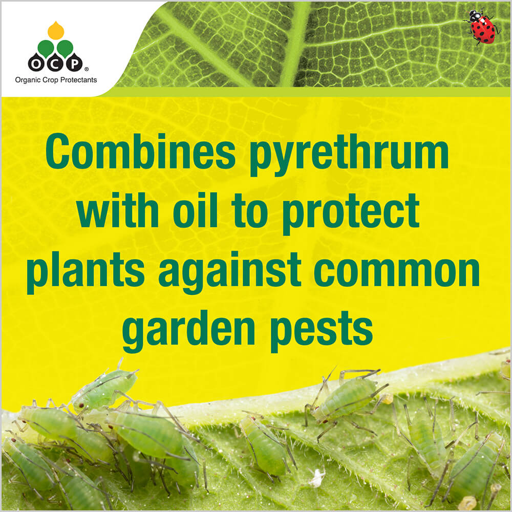 OCP eco-pyrethrum PLUS tile 1
