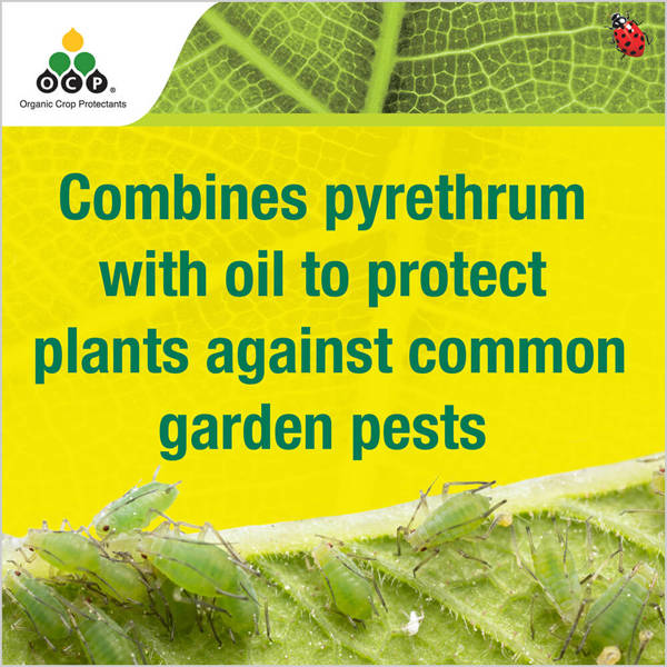 eco-pyrethrum PLUS - eco-organic garden by OCP