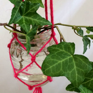 Macrame Plant Hanger