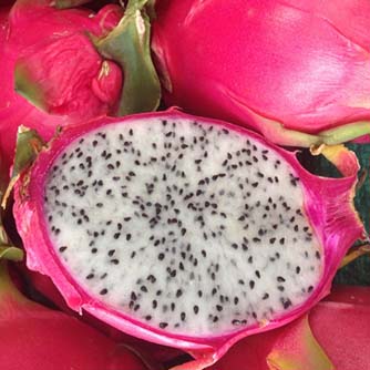 White fleshed dragon fruit is the most commonly seen type