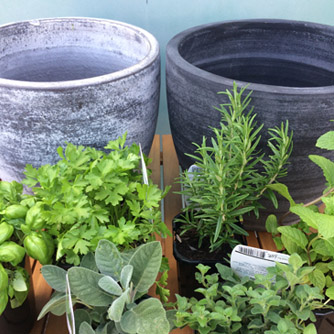 Herb pot supplies