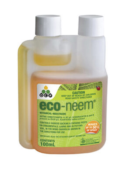 eco-neem 100ml