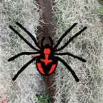 Halloween Spider Decoration