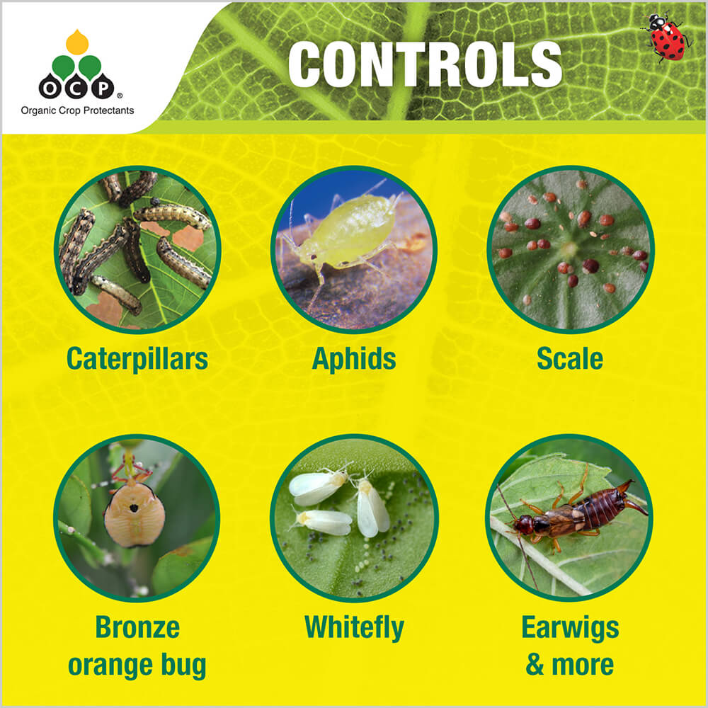 OCP eco-pyrethrum PLUS tile 2