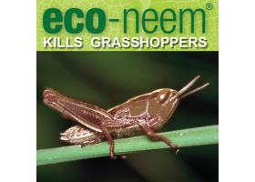 eco-neem now controls grasshoppers!