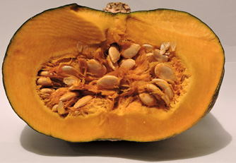 Pumpkin seeds can be saved and turned into nutritious snacks