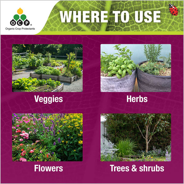 OCP eco-caterpillar killer tile 4