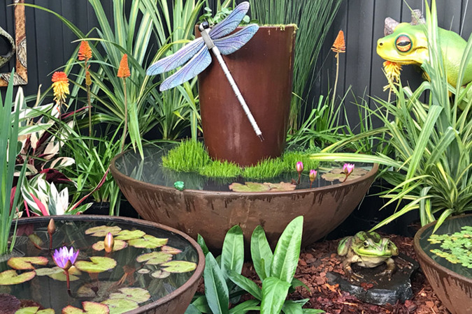 Great display by Suncoast Water Gardens